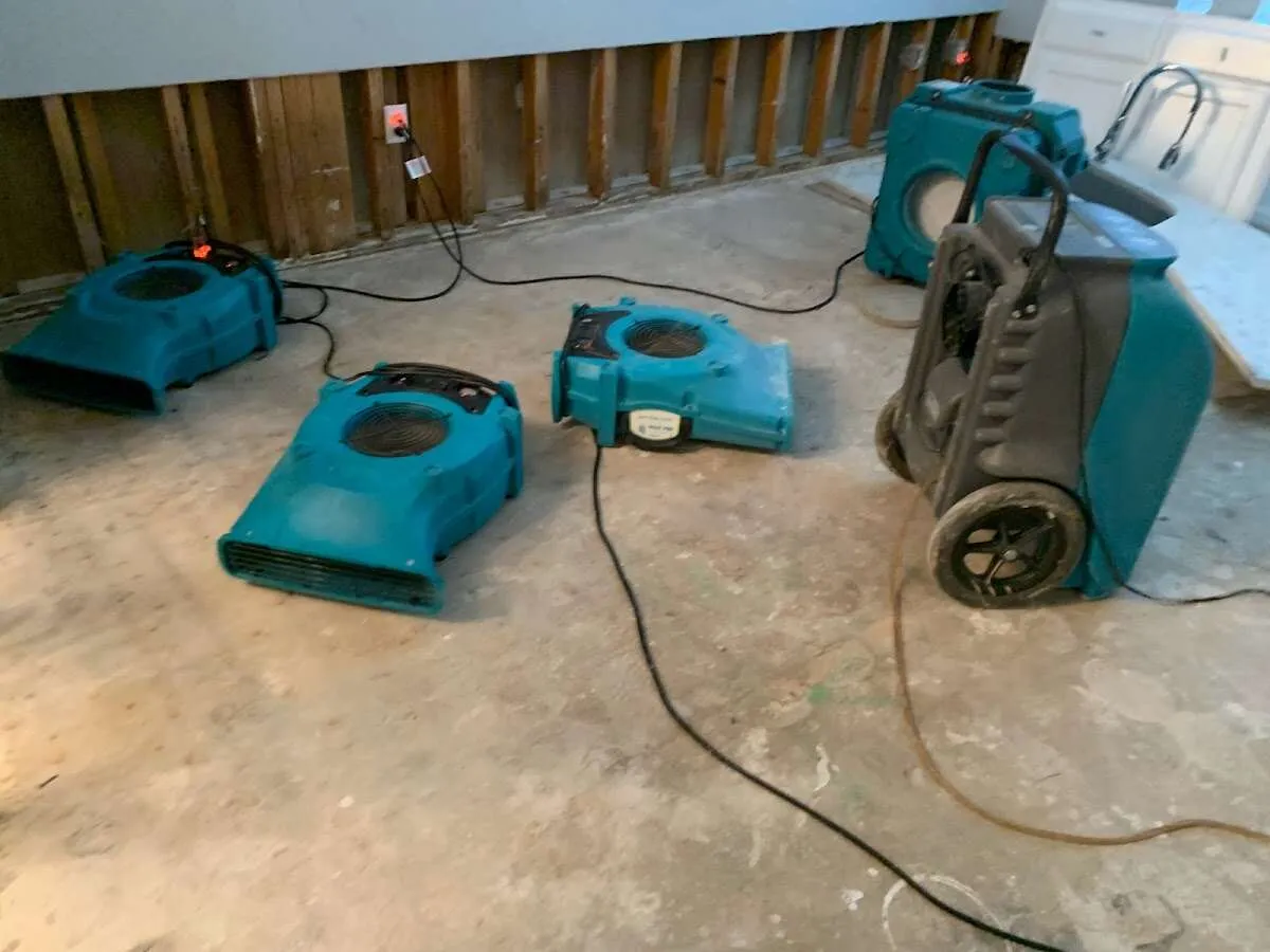 Water Damage Restoration services in Otsego, MN